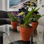 Bradisc'house
