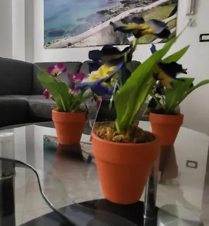 Bradisc'house