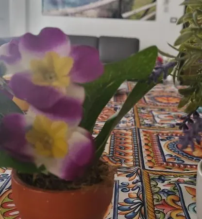 Bradisc'house פורטו טורס