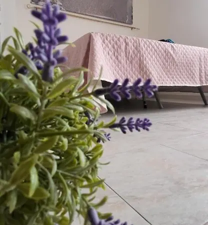 Apartmán Bradisc'house Porto Torres