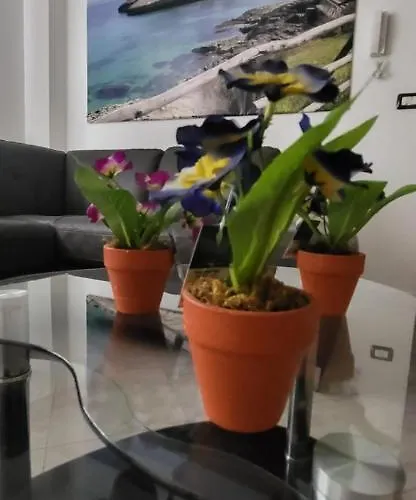 Bradisc'house