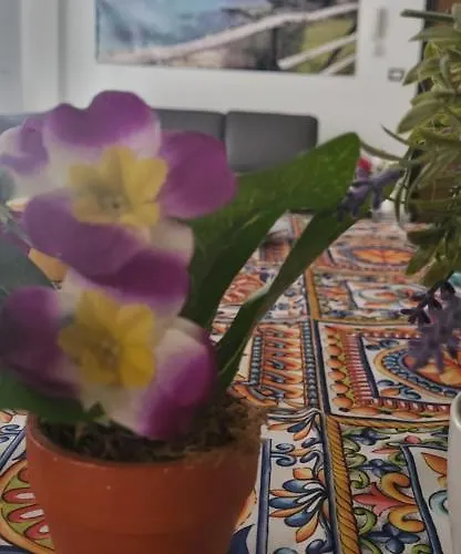 Bradisc'house Porto Torres