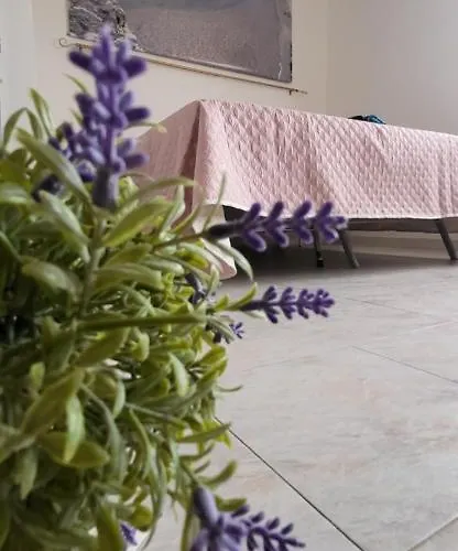 Apartment Bradisc'house Porto Torres